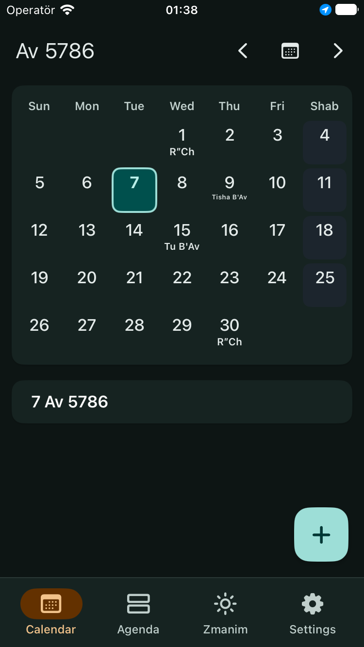 JewCal month calendar on iPhone